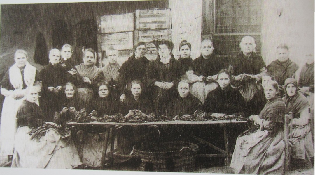 Fca tabacos_Operarias veteranas